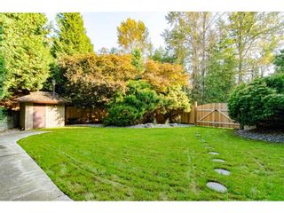 Photo 33: 3852 196 Street in Langley: Brookswood Langley House for sale in "Brookswood" : MLS®# R2506766