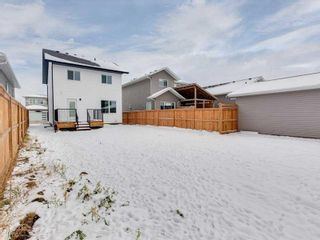 Photo 42: 150 Vancouver Crescent: Red Deer Detached for sale : MLS®# A2090360