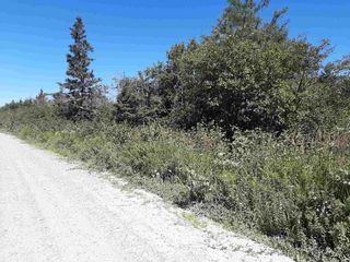 Photo 4: Lot Long Cove Road in Port Medway: 406-Queens County Vacant Land for sale (South Shore)  : MLS®# 202106718
