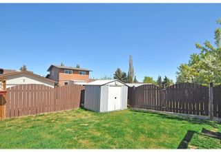 Photo 28: 119 Bedwood Bay NE in Calgary: Beddington Heights Detached for sale : MLS®# A2028643