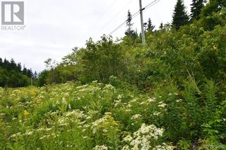 Photo 4: - Fundy Drive in Wilsons Beach: Vacant Land for sale : MLS®# NB090924