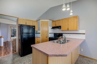 Photo 6: 1525 Big Springs Way SE: Airdrie Detached for sale : MLS®# A2127386