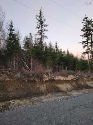 Photo 3: Lot T35 Elliott Road in South Rawdon: 105-East Hants/Colchester West Vacant Land for sale (Halifax-Dartmouth)  : MLS®# 202407811
