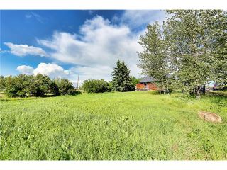 Photo 10: 434019 192 Street: Rural Foothills M.D. House for sale : MLS®# C4073369