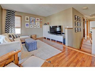 Photo 14: 87 BRIGHTONDALE Crescent SE in Calgary: New Brighton House for sale : MLS®# C4107640