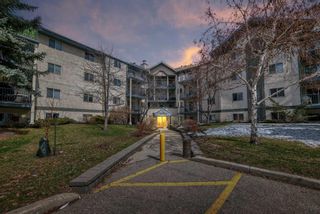 Photo 2: 118 20 Dover Point SE in Calgary: Dover Apartment for sale : MLS®# A2124249