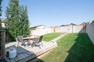 Photo 33: 202 Cranford Way SE in Calgary: Cranston Detached for sale : MLS®# A1254117