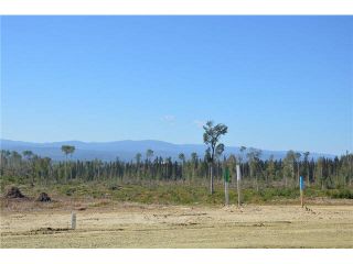 Photo 17: LOT 6 BELL Place in Mackenzie: Mackenzie -Town Land for sale in "BELL PLACE" : MLS®# N227298
