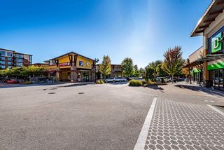Photo 38: B625 20716 WILLOUGHBY TOWN CENTRE Drive in Langley: Willoughby Heights Condo for sale in "YORKSON DOWNS" : MLS®# R2759515