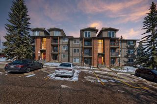 Photo 18: 213 6400 Coach Hill Road SW in Calgary: Coach Hill Apartment for sale : MLS®# A2121082