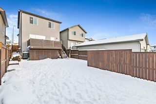 Photo 26: 57 Cranford Place SE in Calgary: Cranston Detached for sale : MLS®# A2022570