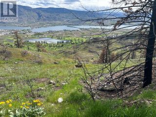 Photo 5: N/A DL3557S in Osoyoos: Vacant Land for sale : MLS®# 10312886