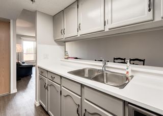 Photo 9: 405 2011 University Drive NW in Calgary: University Heights Apartment for sale : MLS®# A1223061