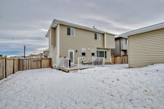 Photo 43: 201 RAINBOW FALLS Glen: Chestermere Detached for sale : MLS®# A2018927