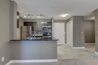 Photo 29: 2305 1317 27 Street SE in Calgary: Albert Park/Radisson Heights Apartment for sale : MLS®# A1060518