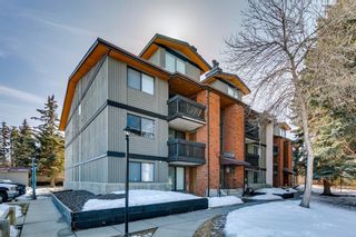 Photo 1: 104B 7301 4A Street SW in Calgary: Kingsland Apartment for sale : MLS®# A2035581