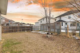 Photo 4: 28 Coral Springs Close NE in Calgary: Coral Springs Detached for sale : MLS®# A2120341