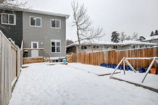 Photo 30: 602 38 Street SW in Calgary: Spruce Cliff Semi Detached for sale : MLS®# A1072124