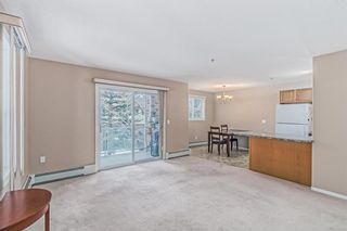 Photo 14: 246 165 Manora Place NE in Calgary: Marlborough Park Apartment for sale : MLS®# A2021263