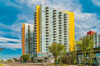 Photo 29: 1409 3820 Brentwood Road NW in Calgary: Brentwood Apartment for sale : MLS®# A1254705