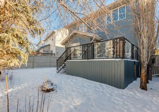 Photo 38: 14 Evansbrooke Place NW in Calgary: Evanston Detached for sale : MLS®# A1186837