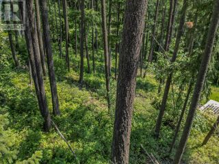 Photo 22: Lot 25 Forest View Place in Blind Bay: Vacant Land for sale : MLS®# 10278634