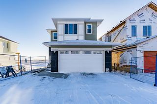 Photo 40: 163 Chelsea Grove: Chestermere Detached for sale : MLS®# A2015586
