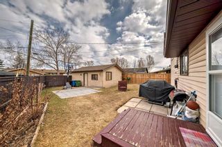 Photo 40: 1328 Pennsburg Road SE in Calgary: Penbrooke Meadows Detached for sale : MLS®# A2122867