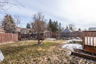 Photo 31: 24 Erin Croft Green SE in Calgary: Erin Woods Detached for sale : MLS®# A2123603