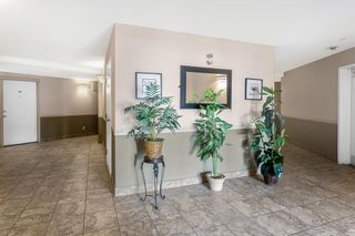 Photo 33: 103 4000 Sommervale Court SW in Calgary: Somerset Apartment for sale : MLS®# A2034041