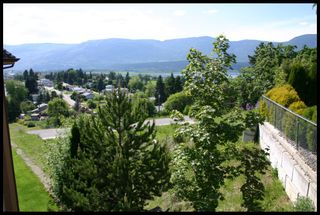 Photo 3: 1351 Northeast 10 Avenue in Salmon Arm: NE Salmon Arm Land Only for sale : MLS®# 10098930