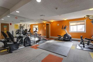 Photo 24: 203 5204 Dalton Drive NW in Calgary: Dalhousie Apartment for sale : MLS®# A2008661