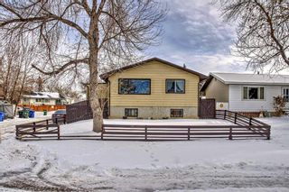 Photo 1: 3019 33A Street SE in Calgary: Dover Detached for sale : MLS®# A2103905