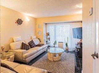Photo 7: 145 Martindale Drive NE in Calgary: Martindale Detached for sale : MLS®# A2094318