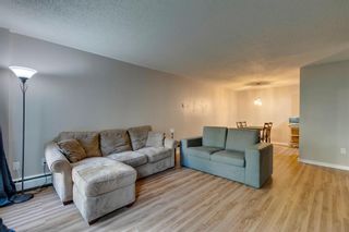 Photo 13: 502 8948 Elbow Drive SW in Calgary: Haysboro Apartment for sale : MLS®# A1258286