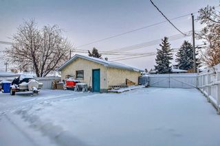 Photo 41: 1524 49 Street in Calgary: Forest Lawn Detached for sale : MLS®# A2102223