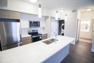 Photo 9: 105 80 Philip Lee Drive in Winnipeg: Crocus Meadows Condominium for sale (3K)  : MLS®# 202300636