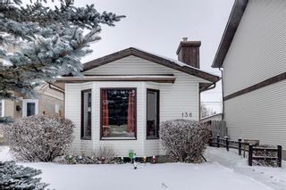 Photo 39: 136 Templeby Place NE in Calgary: Temple Detached for sale : MLS®# A2014762