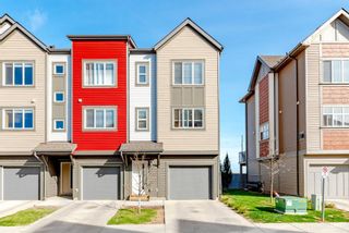 Main Photo: 42 COPPERSTONE Common SE in Calgary: Copperfield Row/Townhouse for sale : MLS®# A1217919