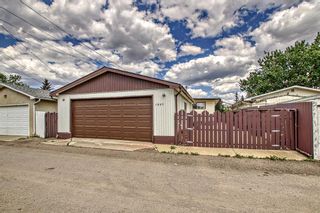 Photo 42: 1507 44 Street SE in Calgary: Forest Lawn Detached for sale : MLS®# A2052553