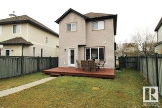 Photo 3: 12203 17 Avenue in Edmonton: Zone 55 House for sale : MLS®# E4385751