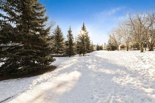 Photo 39: 133 Evergreen Crescent SW in Calgary: Evergreen Detached for sale : MLS®# A2099377