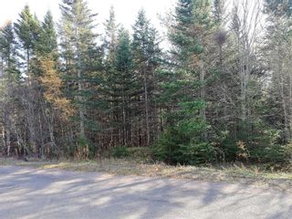 Main Photo: Lot 4 Hiram Lynds Road in North River: 104-Truro / Bible Hill Vacant Land for sale (Northern Region)  : MLS®# 202208623