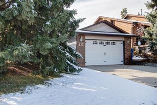 Photo 39: 633 Wallace Drive: Carstairs Detached for sale : MLS®# A1042129