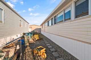 Photo 25: 119 9055 ASHWELL Road in Chilliwack: Chilliwack Proper West Manufactured Home for sale in "Rainbow Estates" : MLS®# R2841802