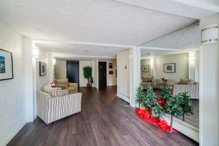 Photo 16: 206 707 HAMILTON Street in New Westminster: Uptown NW Condo for sale : MLS®# R2427814