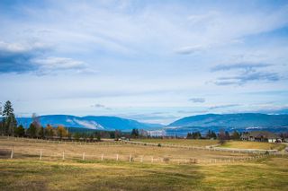 Photo 79: 6650 Southwest 15 Avenue in Salmon Arm: Panorama Ranch House for sale : MLS®# 10096171