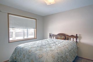 Photo 21: 8 2821 Botterill Crescent: Red Deer Semi Detached (Half Duplex) for sale : MLS®# A2001052