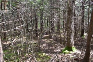 Photo 32: Lot 1 Blue Rocks Road in Garden Lots: Vacant Land for sale : MLS®# 202313149