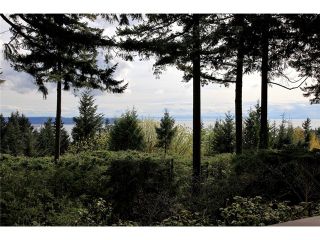 Photo 4: 4401 Woodpark Road in West Vancouver: Cypress Park Estates House for sale : MLS®# V1061125